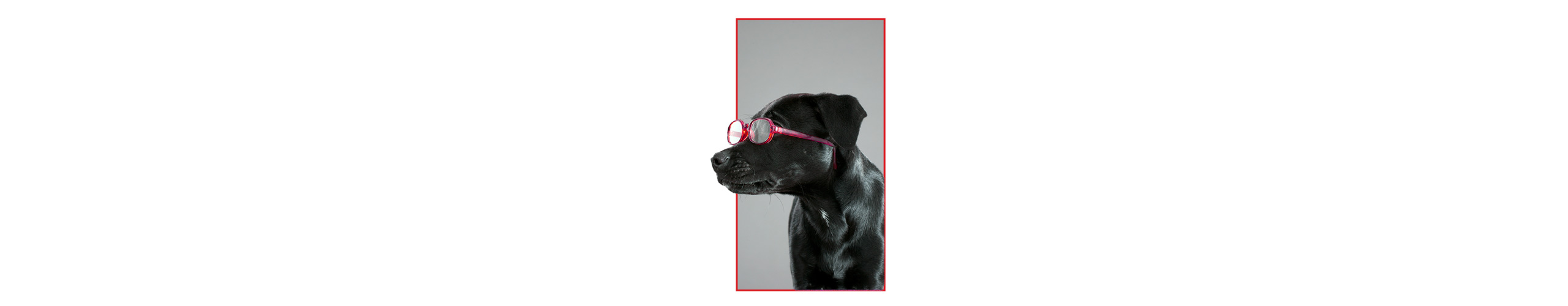 | conceptstore Co Uk | marketing web design and branding in romford hornchurch essex and london