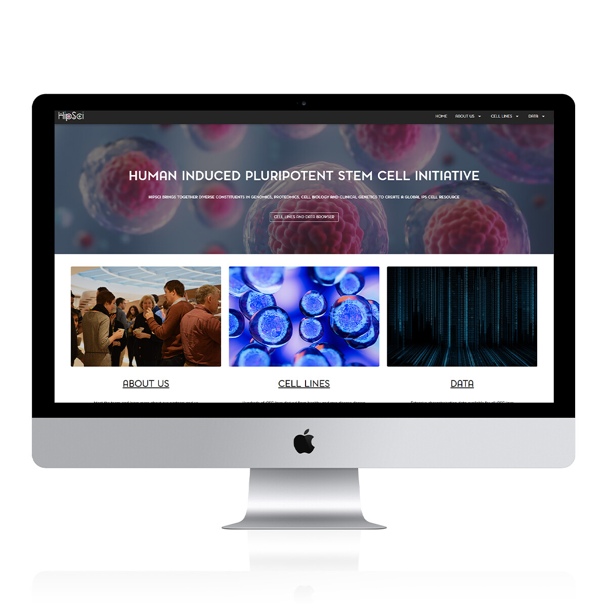 | conceptstore Co Uk | marketing web design and branding in romford hornchurch essex and london