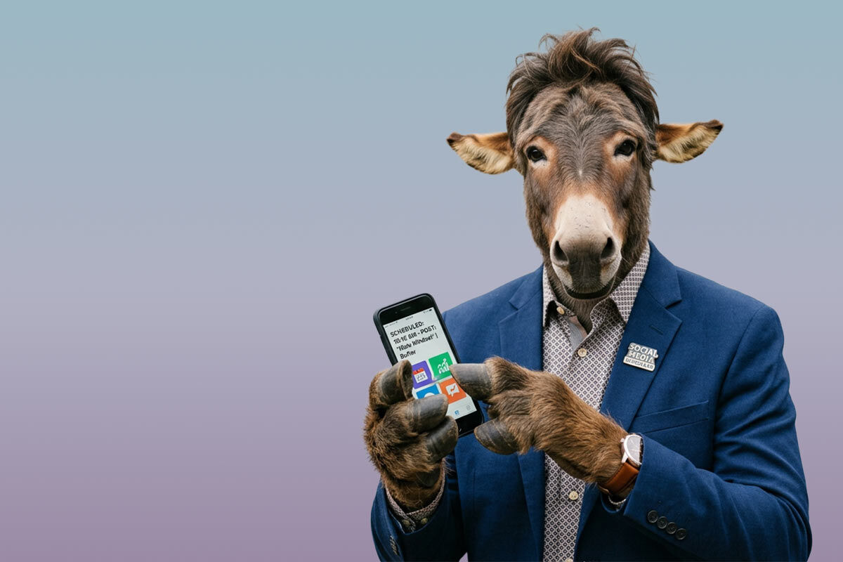 Socialmule | conceptstore Co Uk | marketing web design and branding in romford hornchurch essex and london | conceptstore Co Uk | marketing web design and branding in romford hornchurch essex and london